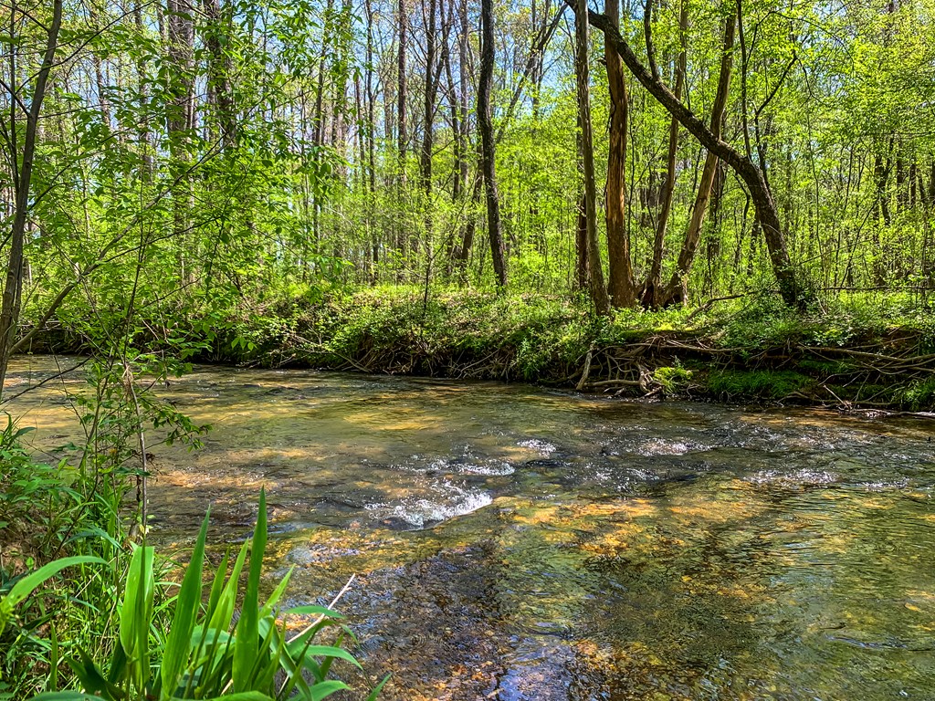 414929 Ellijay Residential