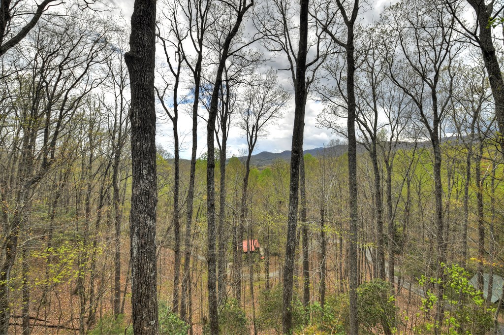 414941 Cherry Log Residential
