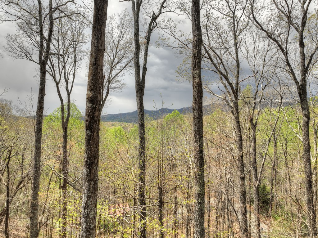 414941 Cherry Log Residential