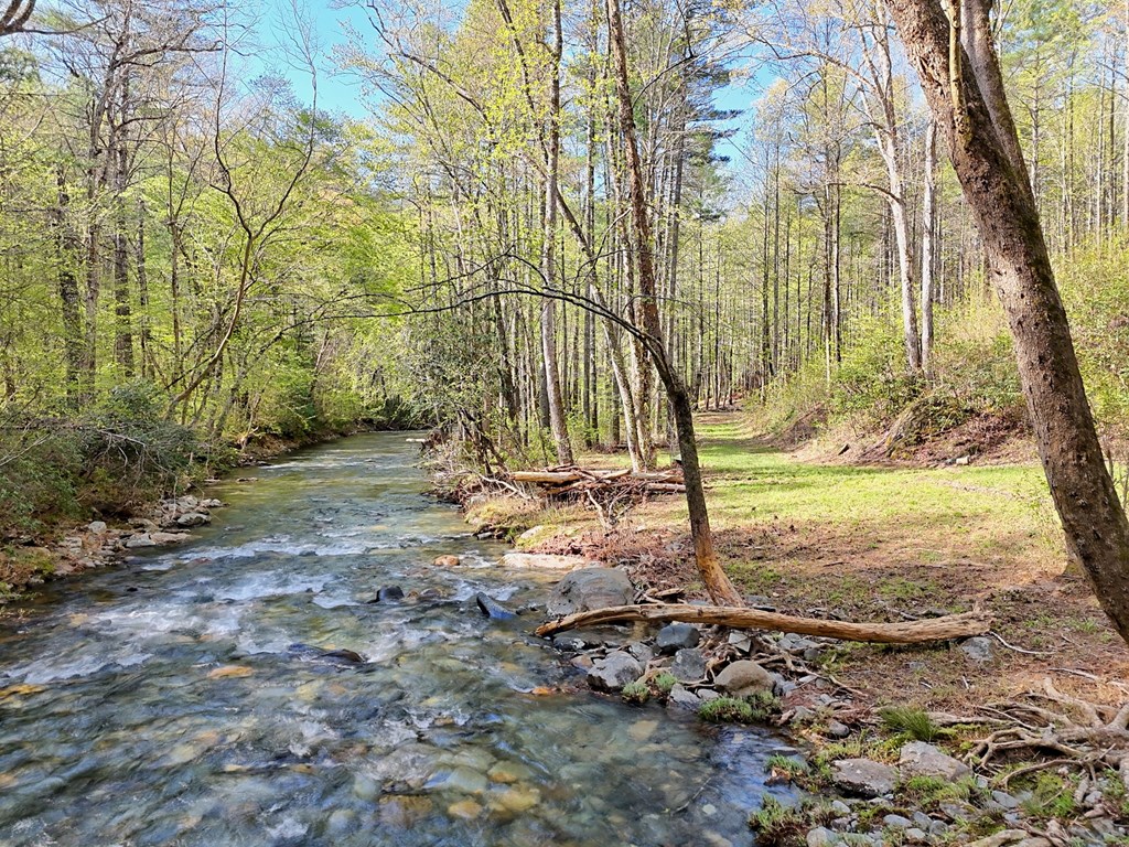 414959 Hayesville Residential