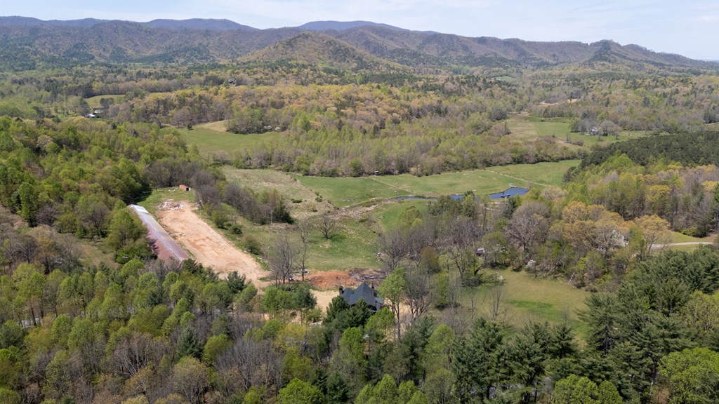 414961 Blue Ridge Residential