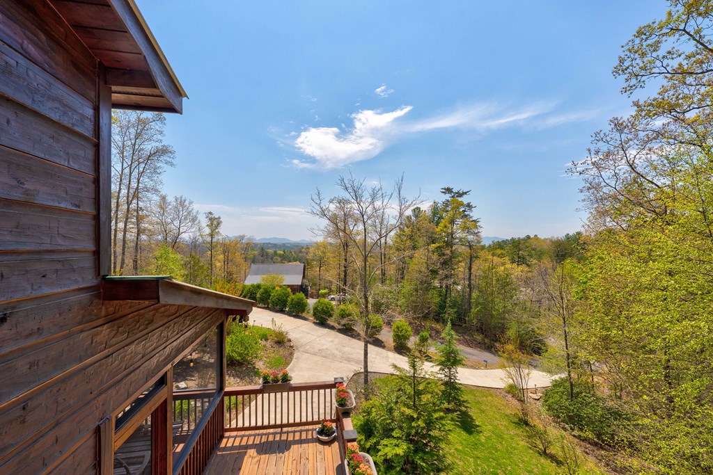 414976 Mineral Bluff Residential
