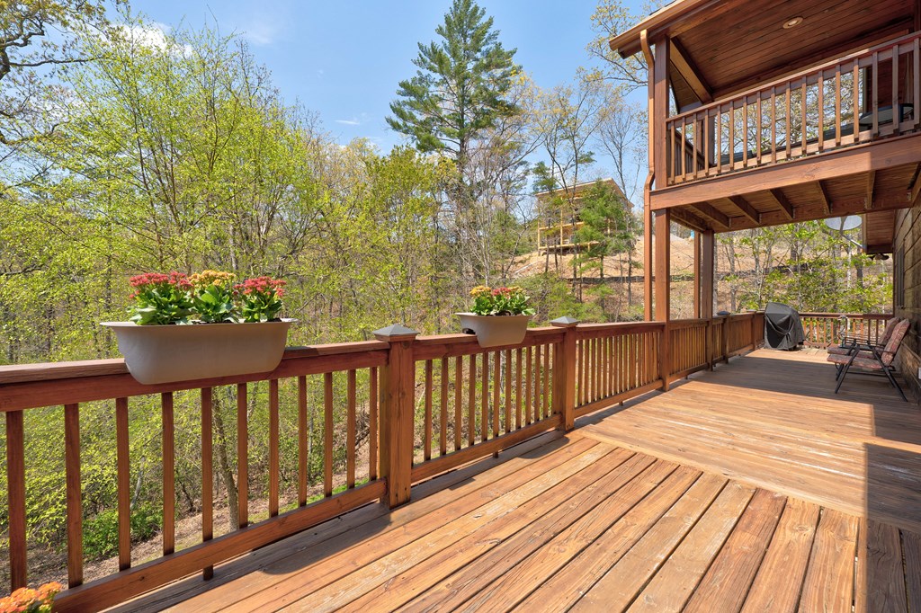 414976 Mineral Bluff Residential