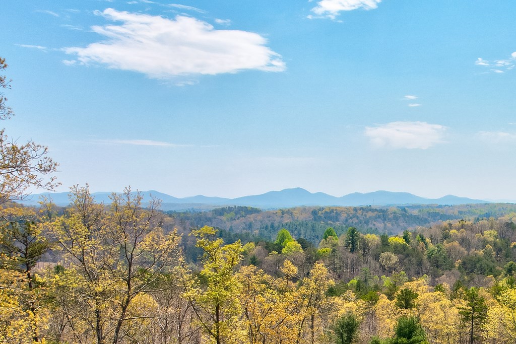 414976 Mineral Bluff Residential