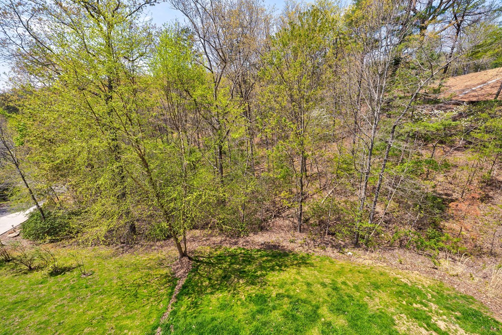414976 Mineral Bluff Residential