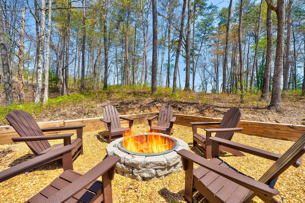 414976 Mineral Bluff Residential