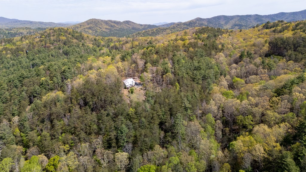 414980 Cherry Log Residential