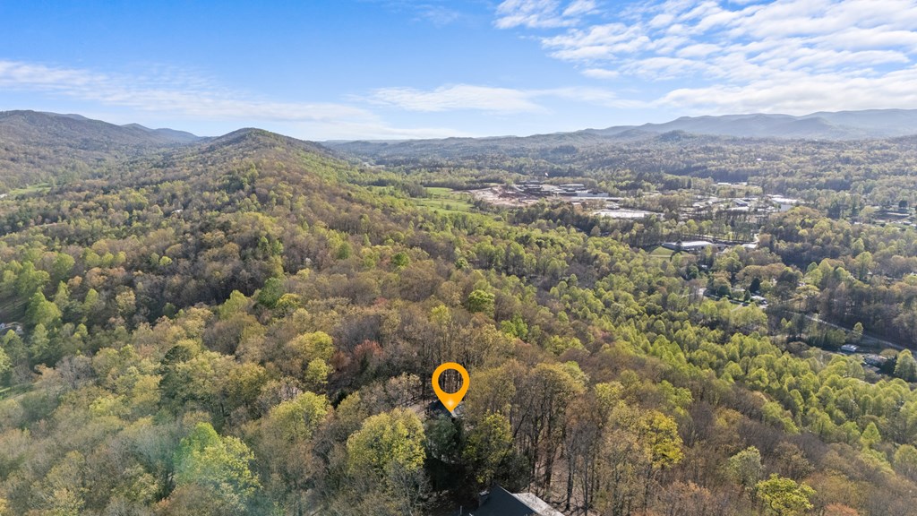 414986 Blue Ridge Residential