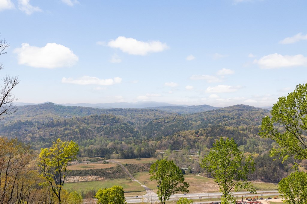 414995 Blue Ridge Residential