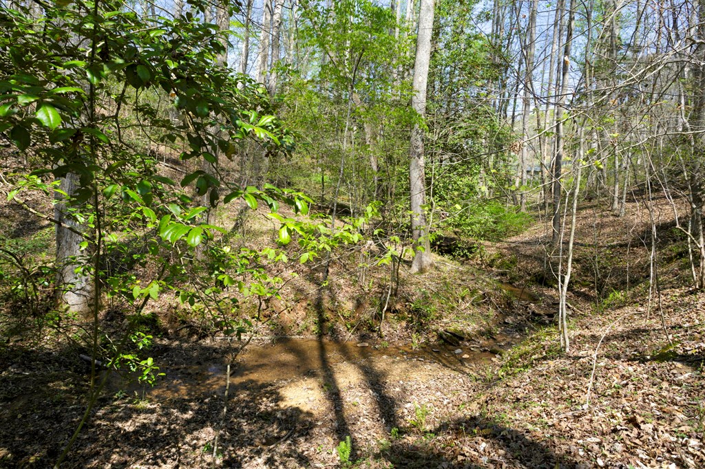 415003 Blairsville Residential