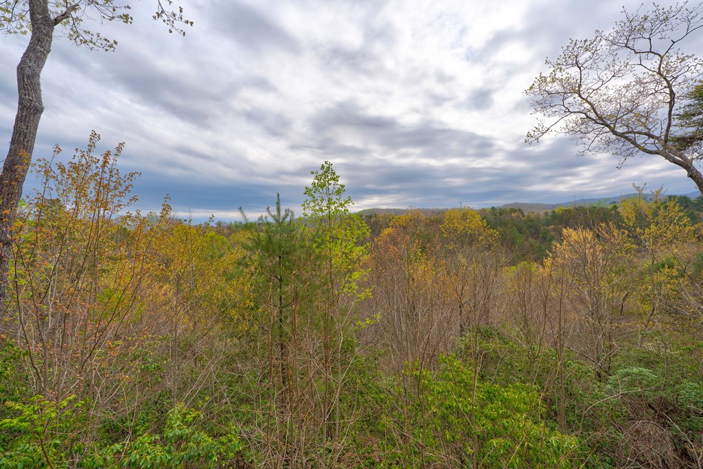 415011 Blue Ridge Residential