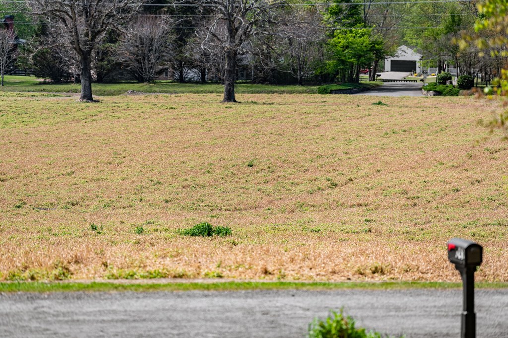 415012 Ellijay Residential
