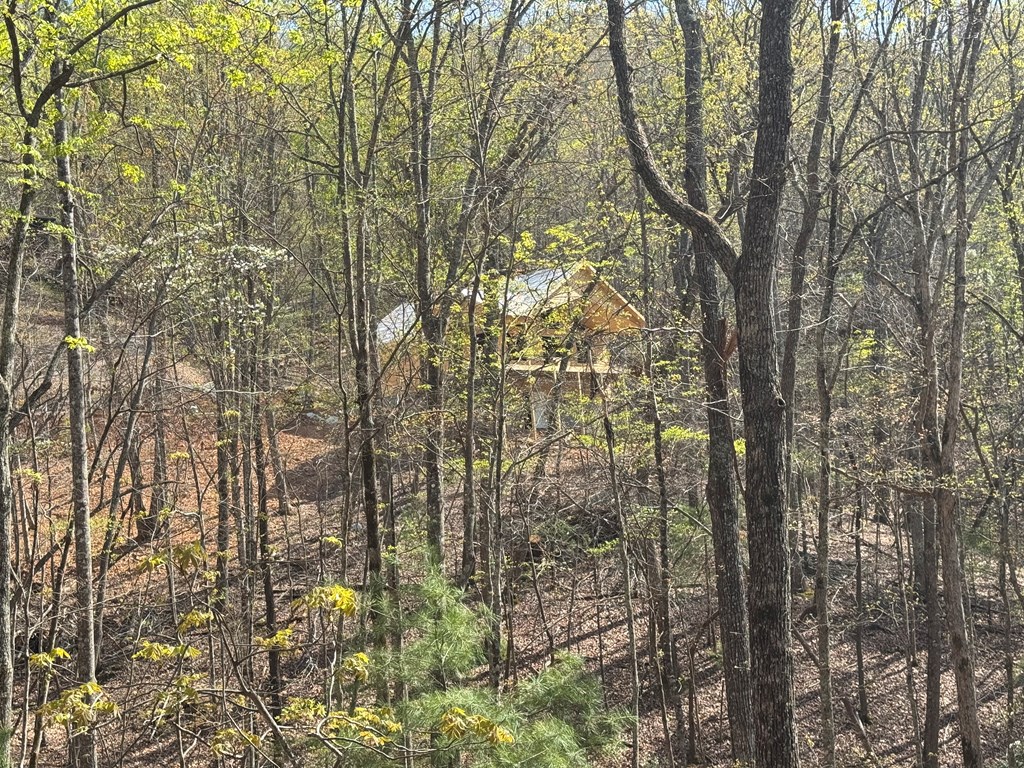 415024 Murphy Residential