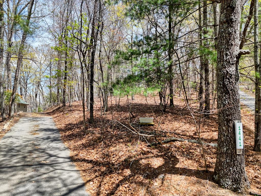415035 Hayesville Residential