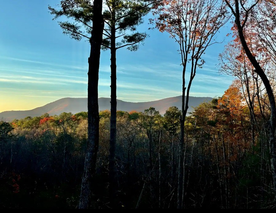 415042 Ellijay Residential