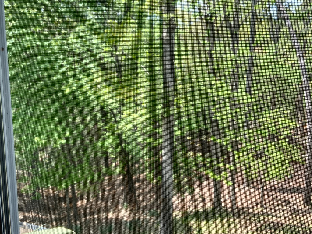 415047 Ellijay Residential