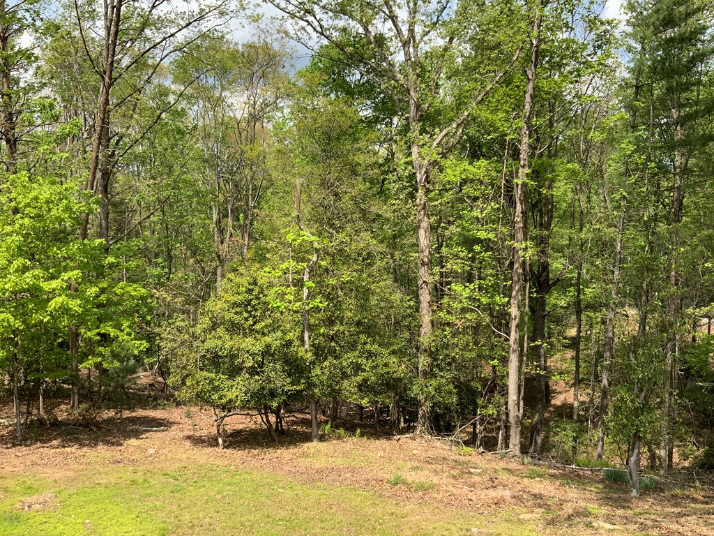 415047 Ellijay Residential
