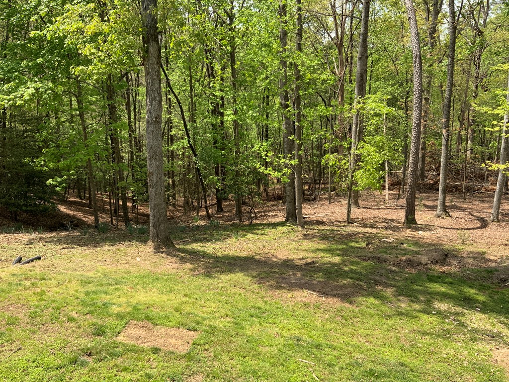 415047 Ellijay Residential