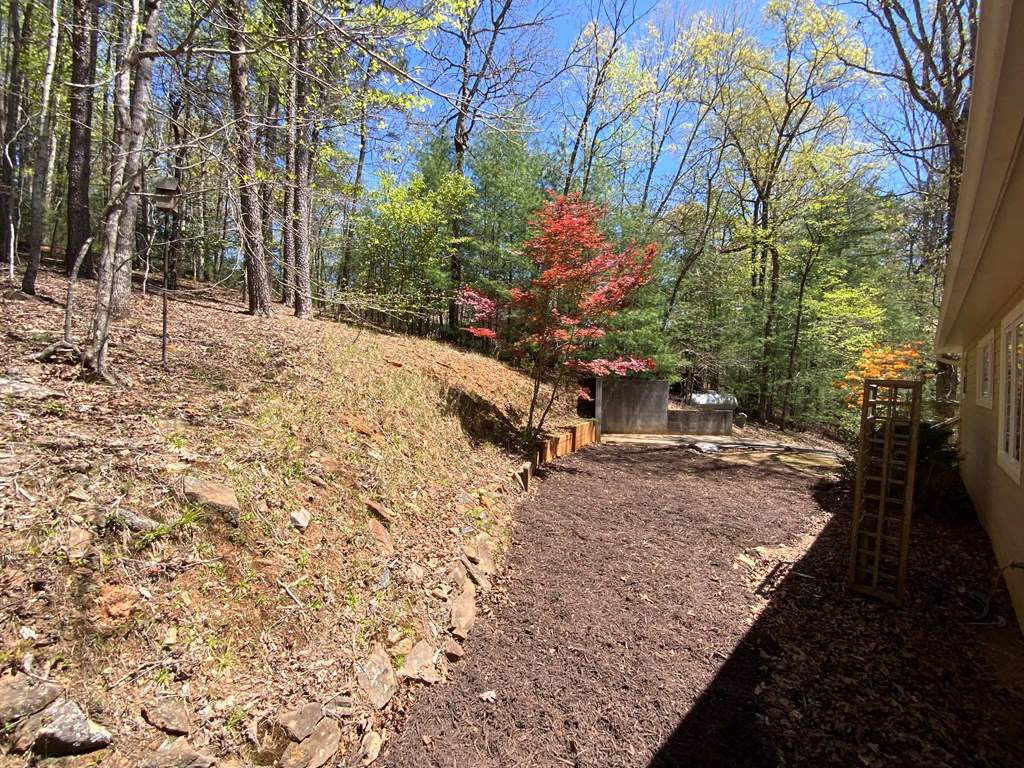 415058 Ellijay Residential