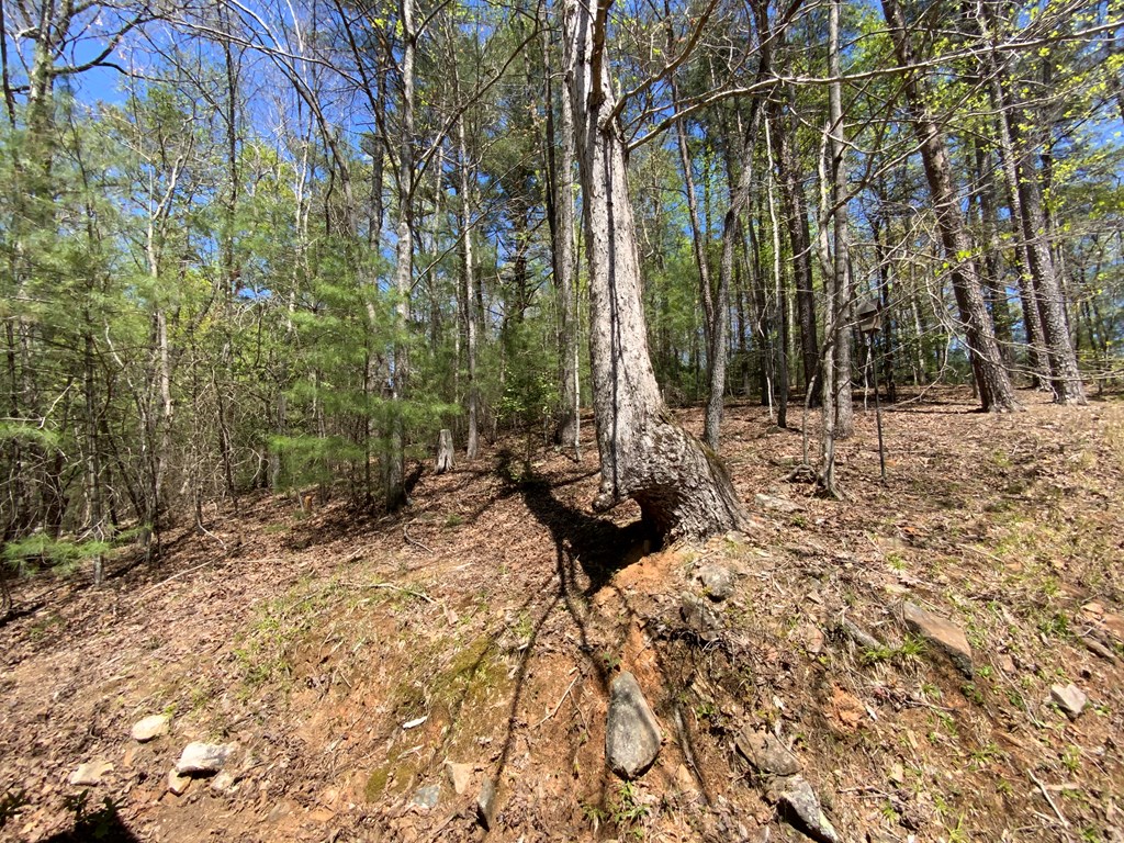 415058 Ellijay Residential