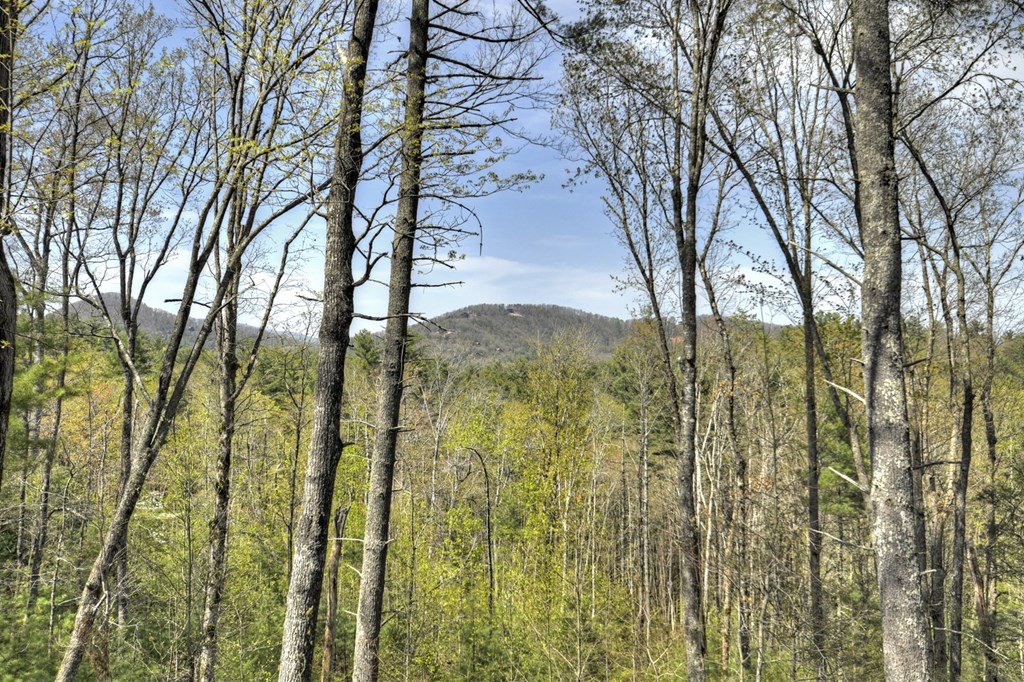 415077 Blue Ridge Residential