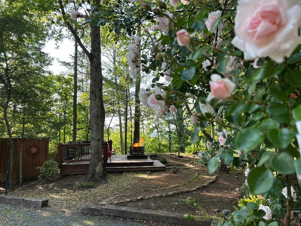 415083 Ellijay Residential