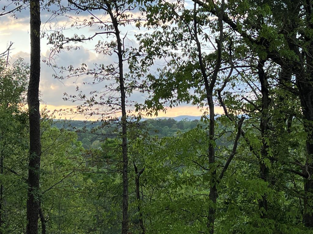 415083 Ellijay Residential