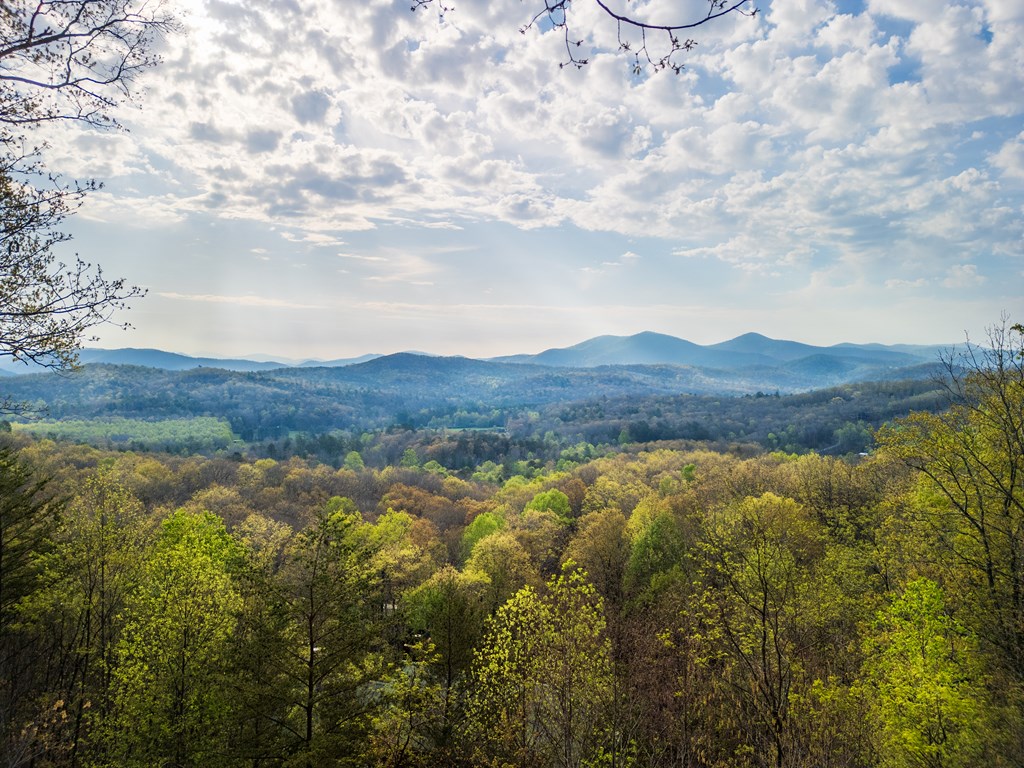 415087 Blue Ridge Residential