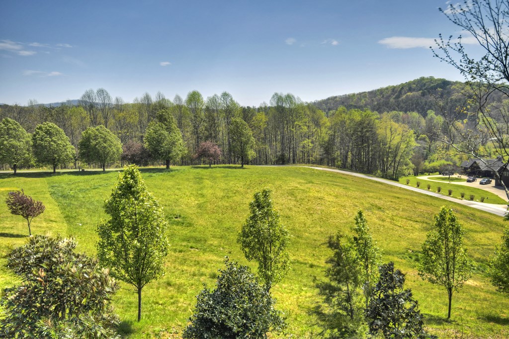 415090 Mineral Bluff Residential