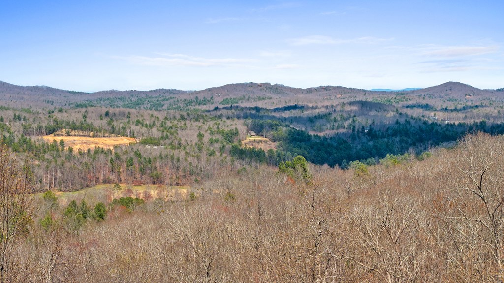 415095 Morganton Residential