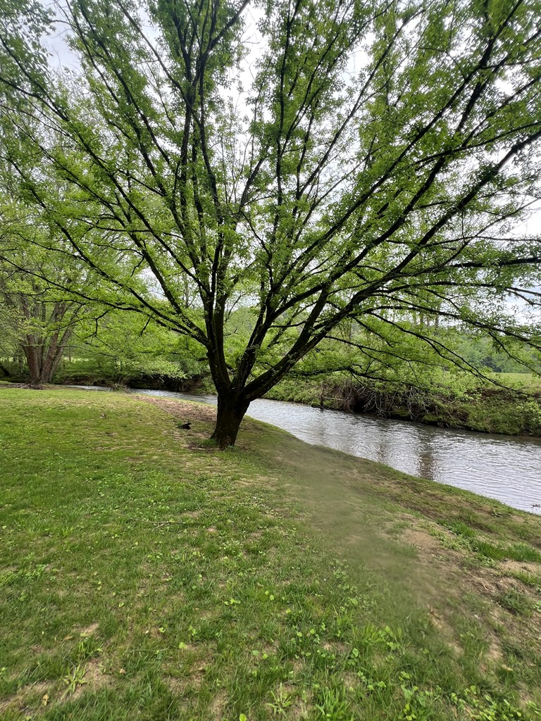 415112 Mineral Bluff Residential