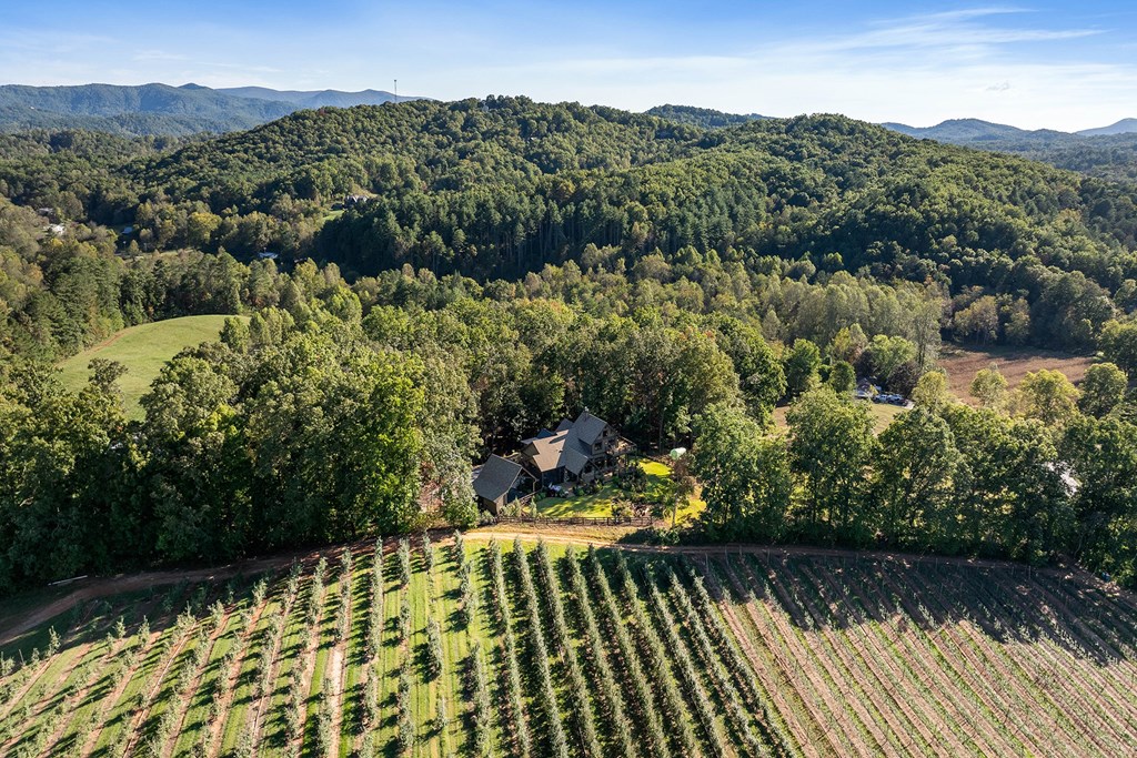 415113 Blue Ridge Residential