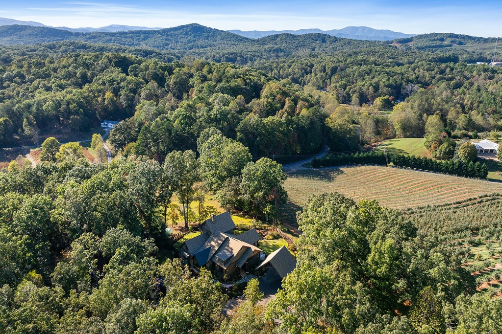 415113 Blue Ridge Residential