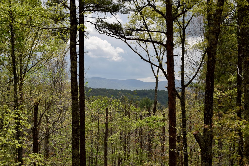 415119 Morganton Residential