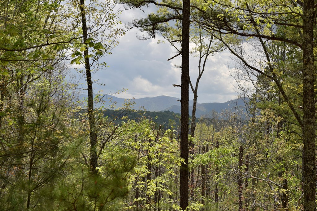 415119 Morganton Residential