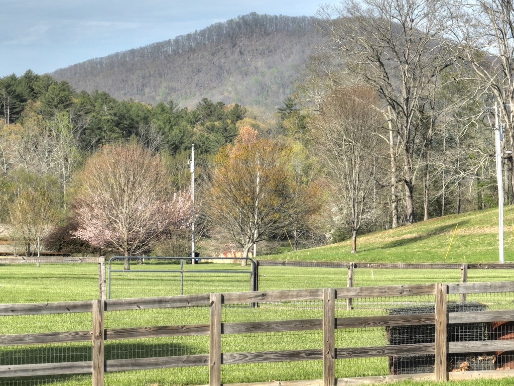 415123 Blue Ridge Residential