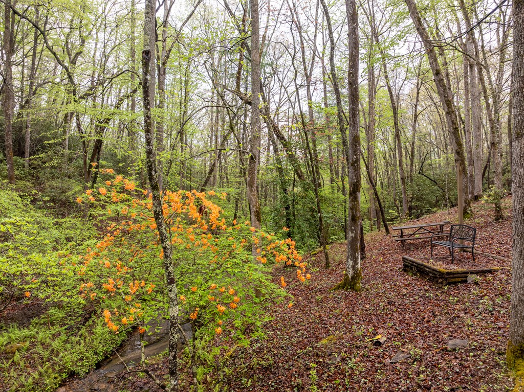 415126 Blairsville Residential