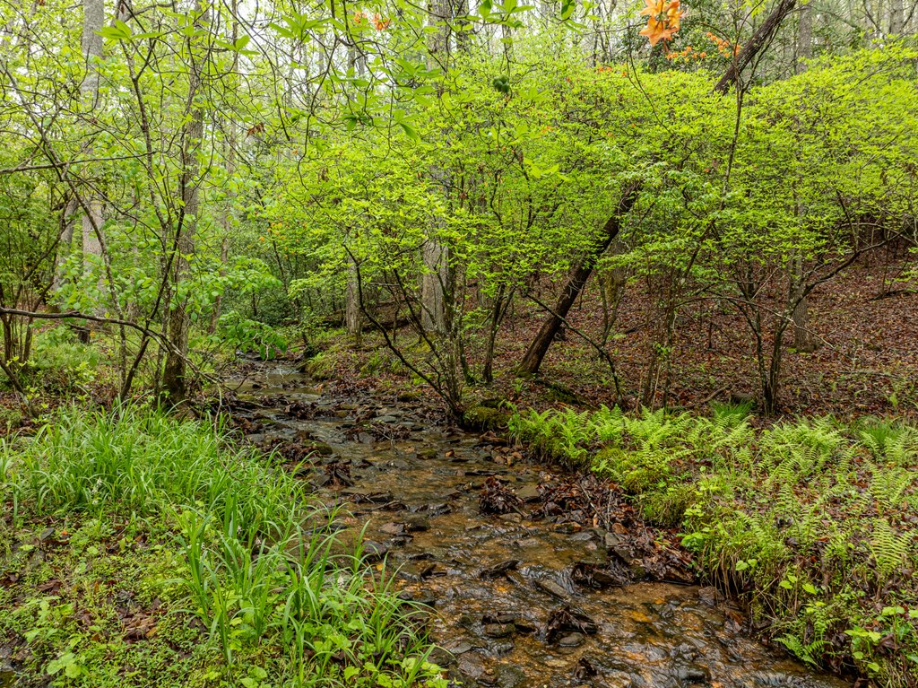 415126 Blairsville Residential