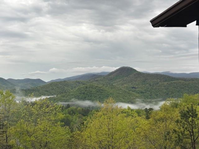 415135 Hiawassee 