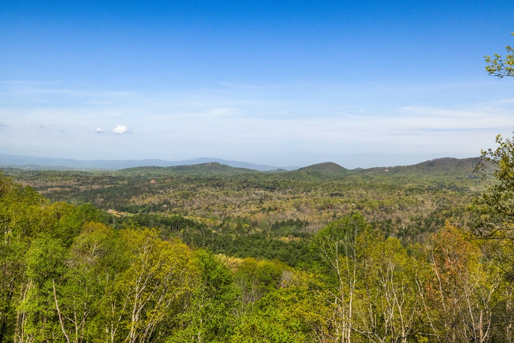 415150 Mineral Bluff Residential