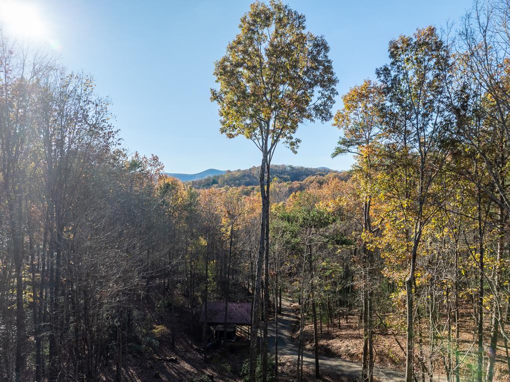415160 Cherry Log Residential