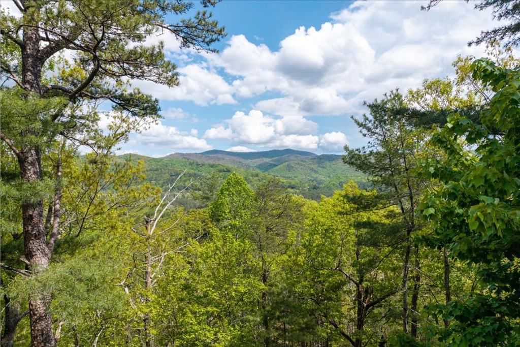 415164 Blue Ridge Residential