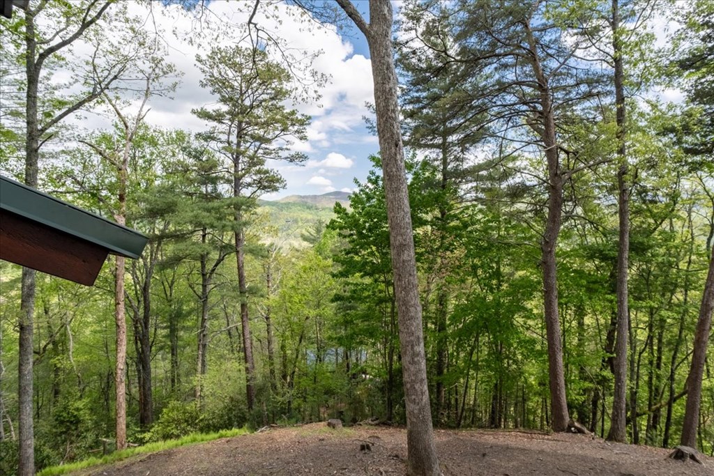 415164 Blue Ridge Residential