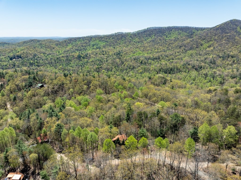 415168 Ellijay Residential