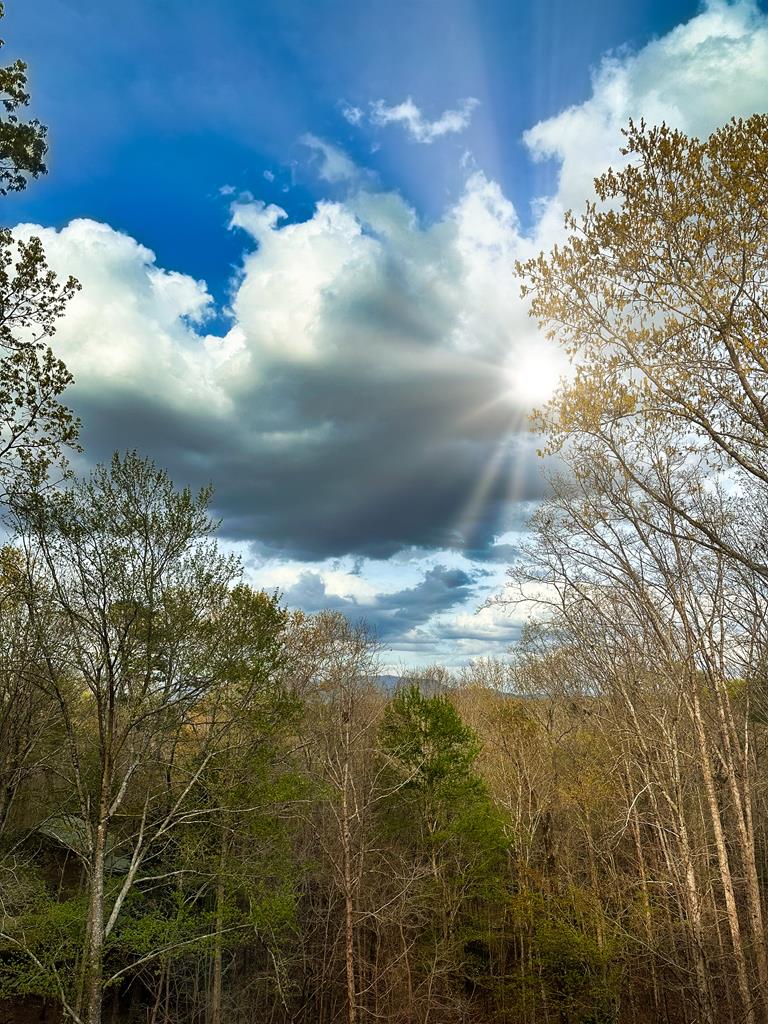 415205 Ellijay Residential