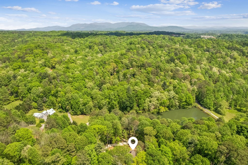 415207 Ellijay Residential
