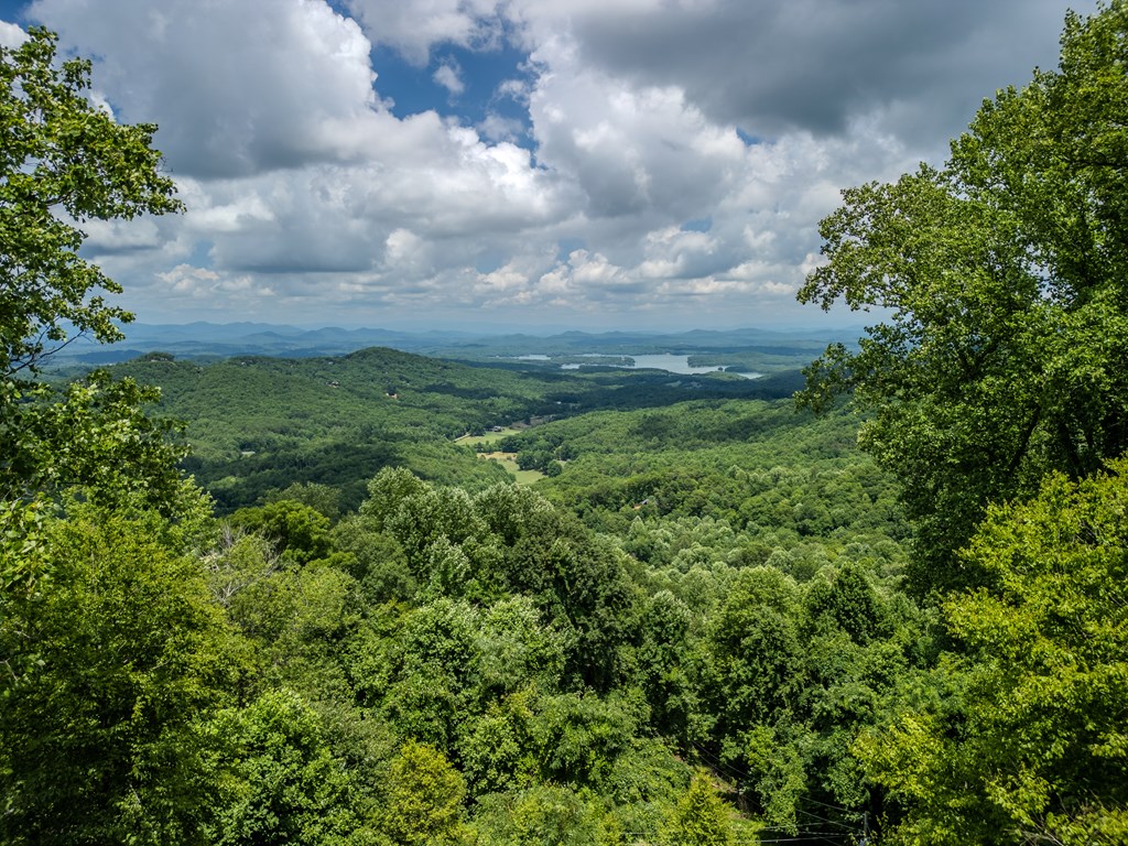 415226 Blue Ridge Residential