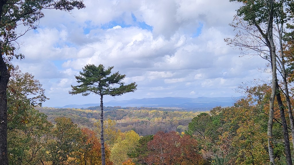 415234 Ellijay Residential