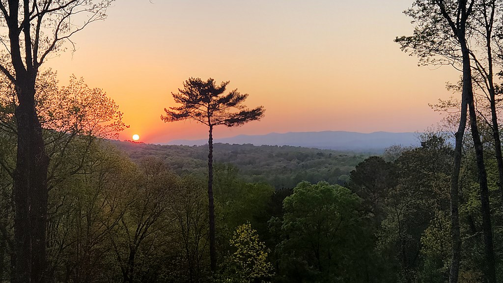 415234 Ellijay Residential