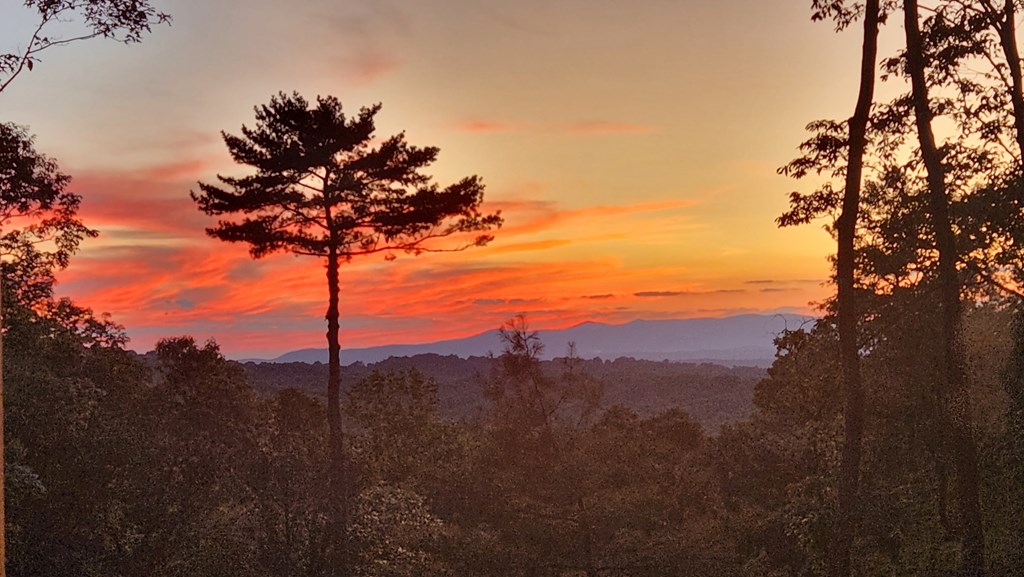 415234 Ellijay Residential